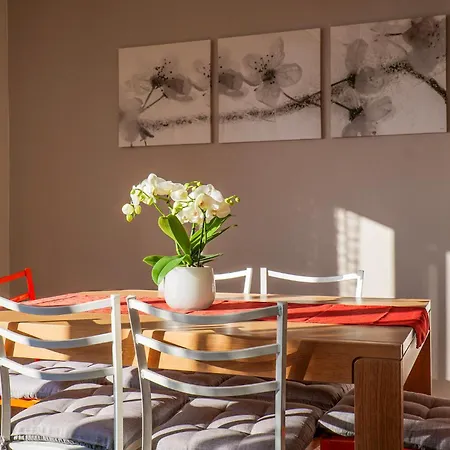 Al Pianaccio By Reisen Apartment Trarego Viggiona